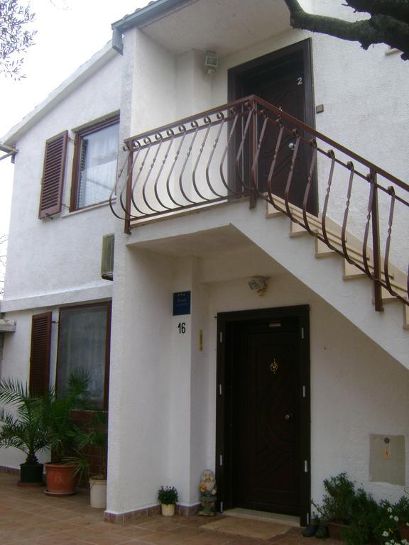 Golubica 2