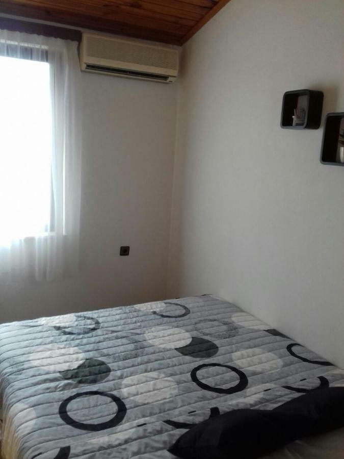 Apartment Golubica 2